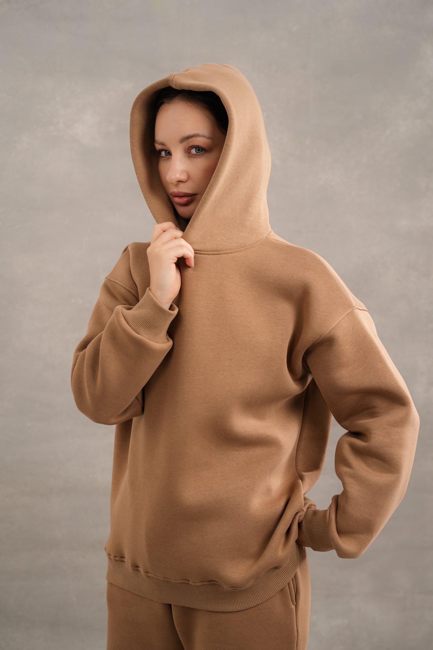 Basic Fleece Hoodie In Light Brown